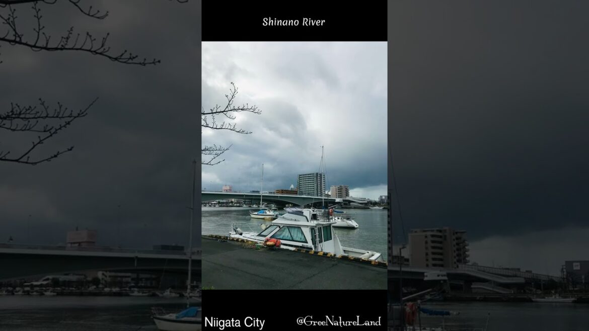 Traveling Japan, Shinano River Niigata City