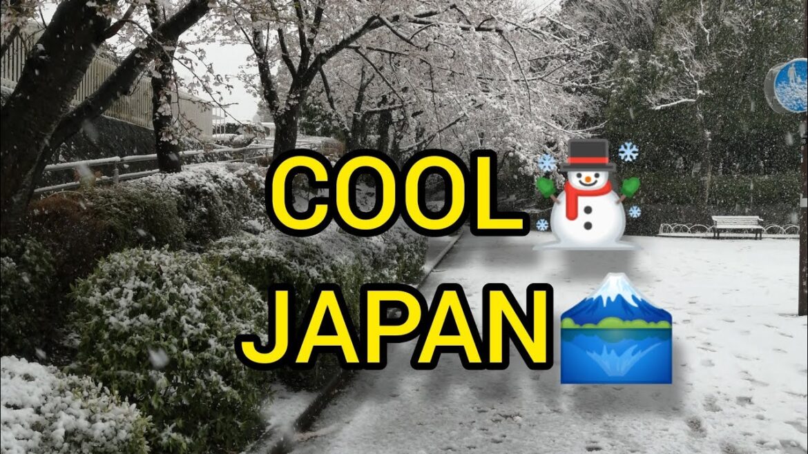 Snowfall with Sakura in March!!! Cool Japan Snowfall with Sakura in March!!! Cool Japan