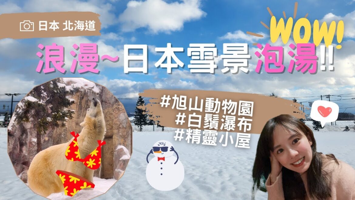 【北海道Ep3】日本最北動物園是？旭山動物園｜親子蜜月旅行推薦🤍近距離看企鵝🐧北極熊泡湯🐻‍❄韓綜也推的白鬚瀑布、精靈小屋|Japan Travel Vlog| Hokkaido|歐文西卡旅行中
