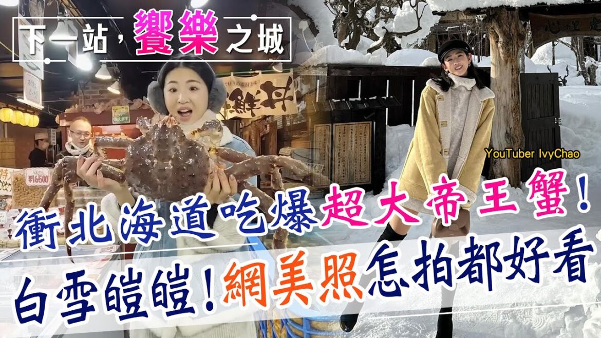 【下一站,饗樂之城】日幣又貶!衝北海道賞雪正當時 吃爆「超巨大帝王蟹」 白雪紛飛隨便拍都是網美照!走訪”初戀”場景真浪漫…@CtiFinance 【下一站,饗樂之城】日幣又貶!衝北海道賞雪正當時 吃爆「超巨大帝王蟹」 白雪紛飛隨便拍都是網美照!走訪"初戀"場景真浪漫...@CtiFinance