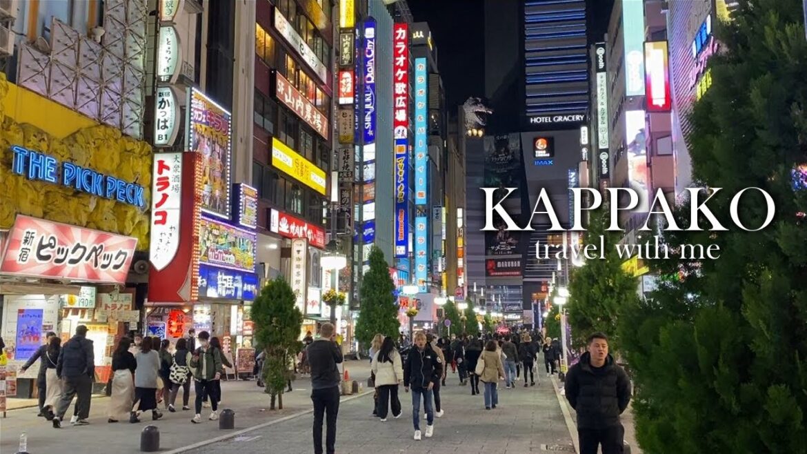 【Tokyo vlog】 Kabukicho day VS night