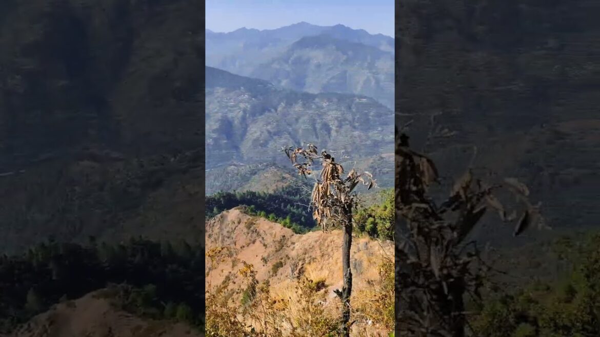 jise tum Jannat Kahate Ho vahan Ghar Mera🥀 #mountains  #pahadi #yearofyou  #viwe