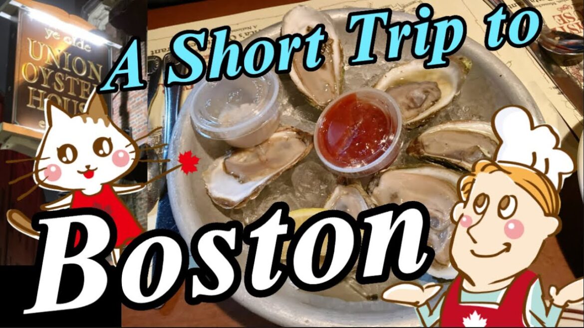 ボストン弾丸旅行🚌歴史的建造物からシーフードまで満喫🦪 Enjoying Boston trip: from historic landmarks to seafood 🦐 (#29) ボストン弾丸旅行🚌歴史的建造物からシーフードまで満喫🦪 Enjoying Boston trip: from historic landmarks to seafood 🦐 (#29)