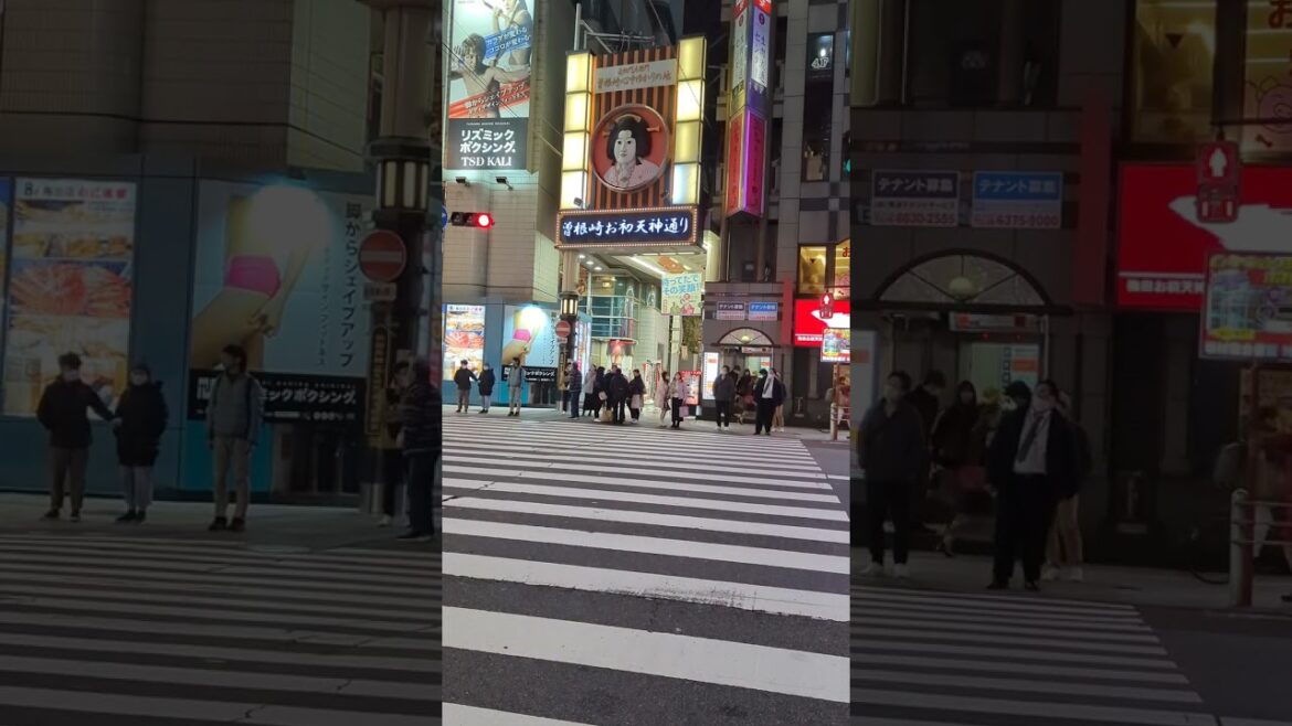 Aesthetic Japan Osaka Nightlife | #travel #food #anime