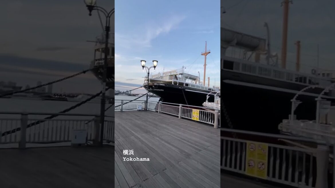 Yokohama Port #yokohama #shorts