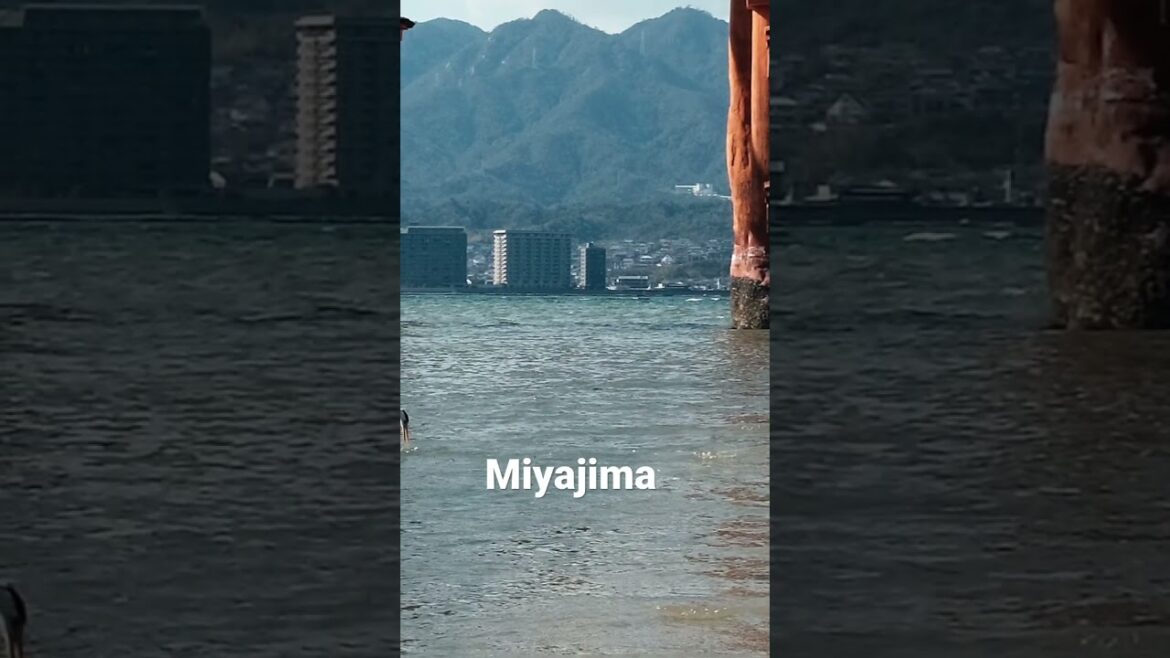 Discover Japan: 10 Must-See Destinations for Your Next Adventure|Part II #travel #japan #discover