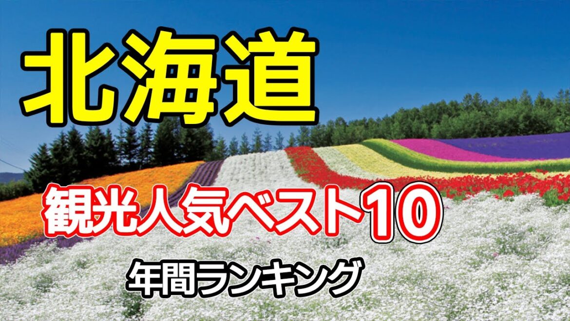 【北海道観光人気ベスト10】年間ランキング