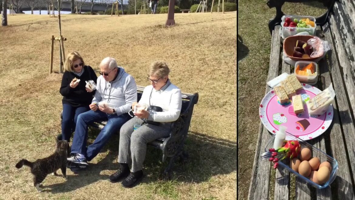 A day out with Tour Nagasaki visiting the best sights that are on offer.