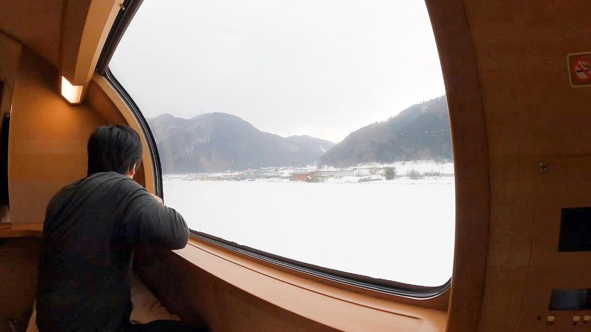 Japan's only one sleeper train ”Sunrise Izumo", Tokyo to Izumo【Japan Traveler】