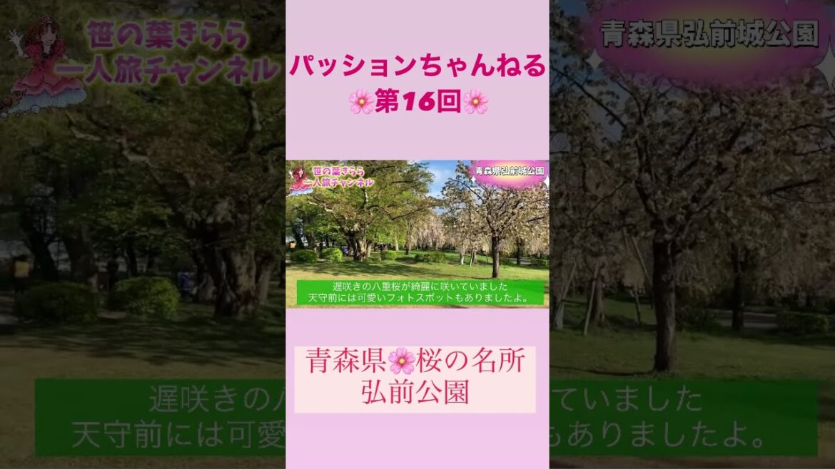 桜の名所「青森県弘前城」 #旅行動画 #一人旅 #弘前 #弘前城 #弘前公園 #桜祭り #お花見 #travel #青森 #東北旅  #青森旅行 #travel  #旅行 #桜の名所 #shorts 桜の名所「青森県弘前城」 #旅行動画 #一人旅 #弘前 #弘前城 #弘前公園 #桜祭り #お花見 #travel #青森 #東北旅  #青森旅行 #travel  #旅行 #桜の名所 #shorts