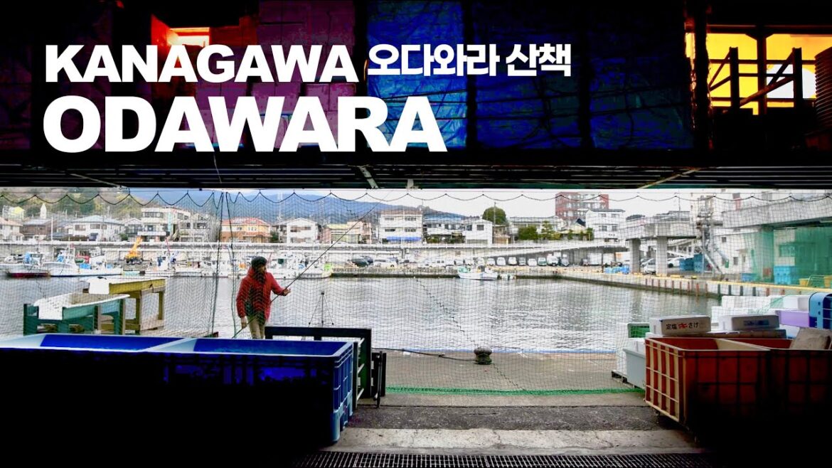 도쿄에서 전철로 1시간 오다와라(小田原) 산책