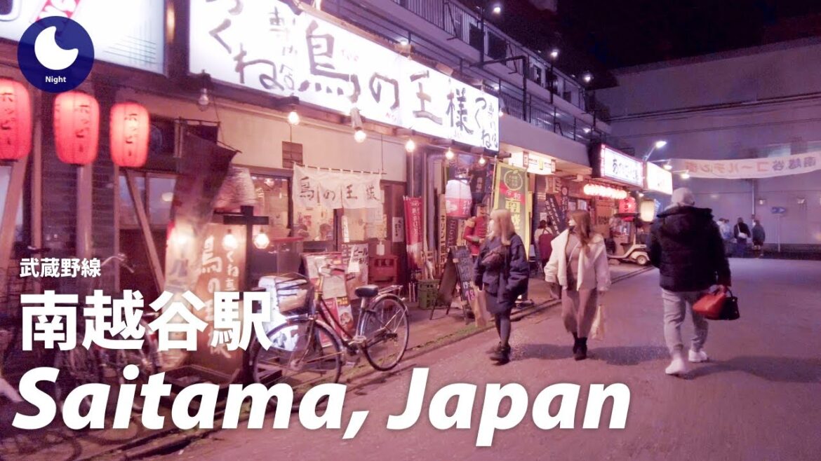 ⁴ᴷ Japan: Minami Koshigaya Station(南越谷駅), Saitama / Musashino Line : Walking Tour (February, 2023) ⁴ᴷ Japan: Minami Koshigaya Station(南越谷駅), Saitama / Musashino Line : Walking Tour (February, 2023)