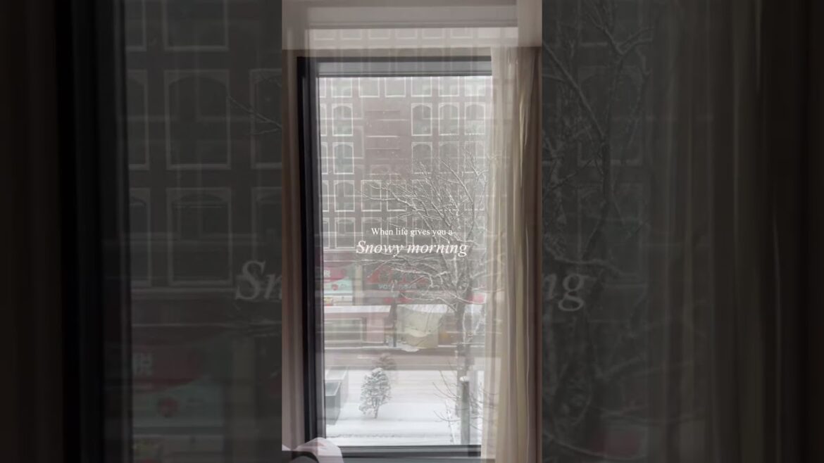 Winter mornings in Japan❄️ #japanwinter #sapporo #hokkaidolove #travelvlog #hokkaido