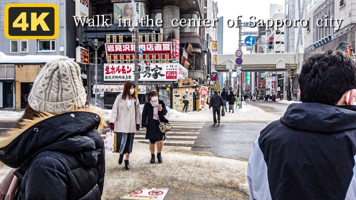 北海道 大通りを散歩する旅【4K】 北海道 大通りを散歩する旅【4K】