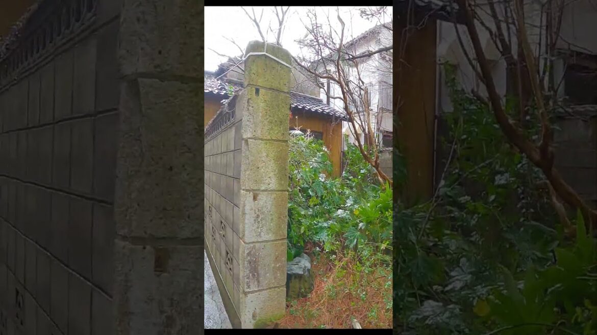 Too Narrow for Cars! Alley in Niigata City #japan #shorts #walking Too Narrow for Cars! Alley in Niigata City #japan #shorts #walking