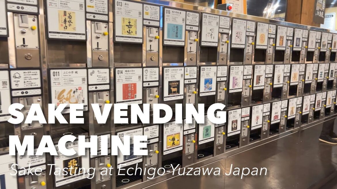 Things to do in Japan - Cheap Wine / Sake tasting from vending machine