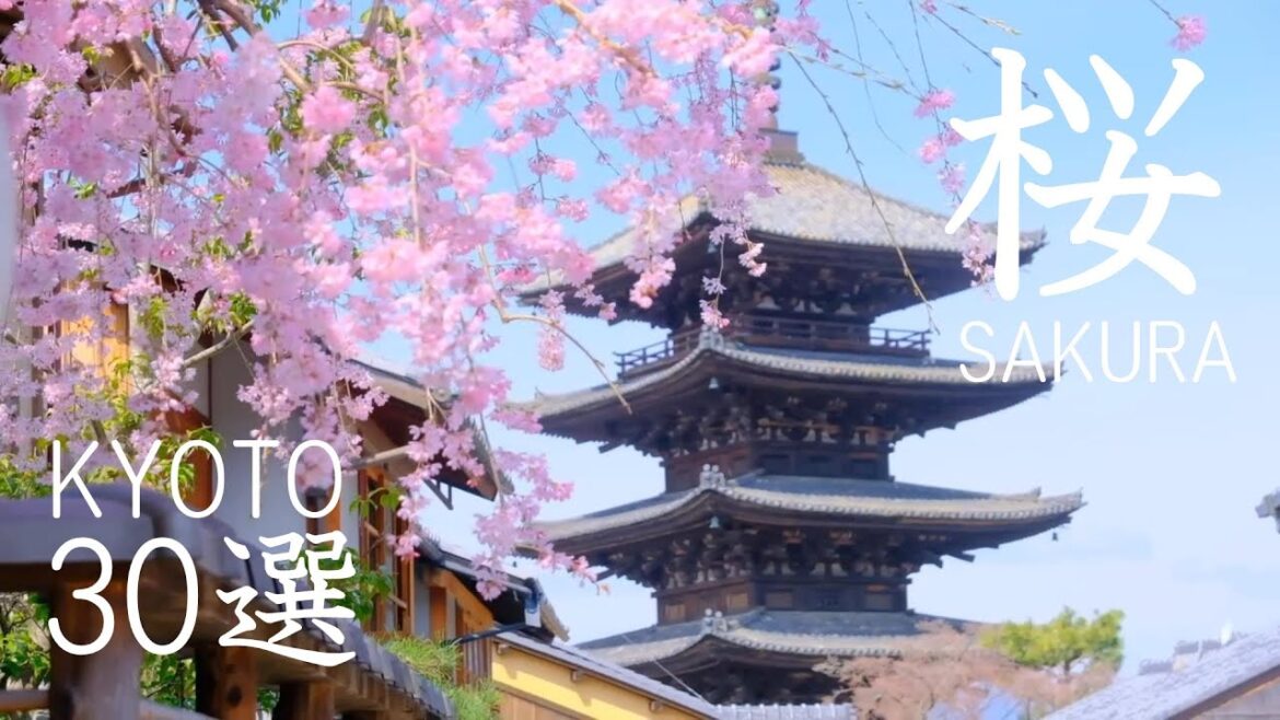 京都の桜30選： Kyoto Cherry Blossom Spot 30（sakura) 京都観光 旅行 嵐山 清水寺 平安神宮  円山公園 哲学の道 蹴上インクライン　祇園白川