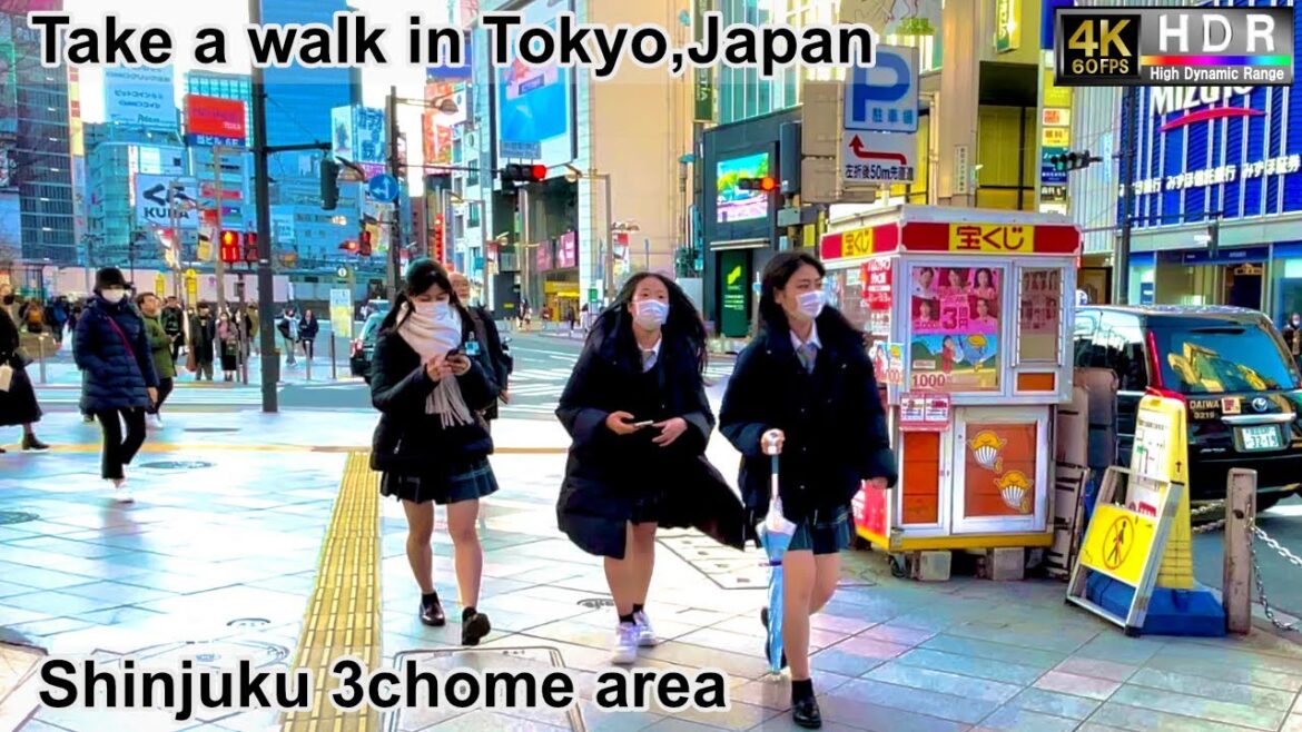 4K 60fps HDR// Take a walk in Tokyo, Japan,Shinjuku Sanchome Sta.→Shinjuku underpass→Shopping street