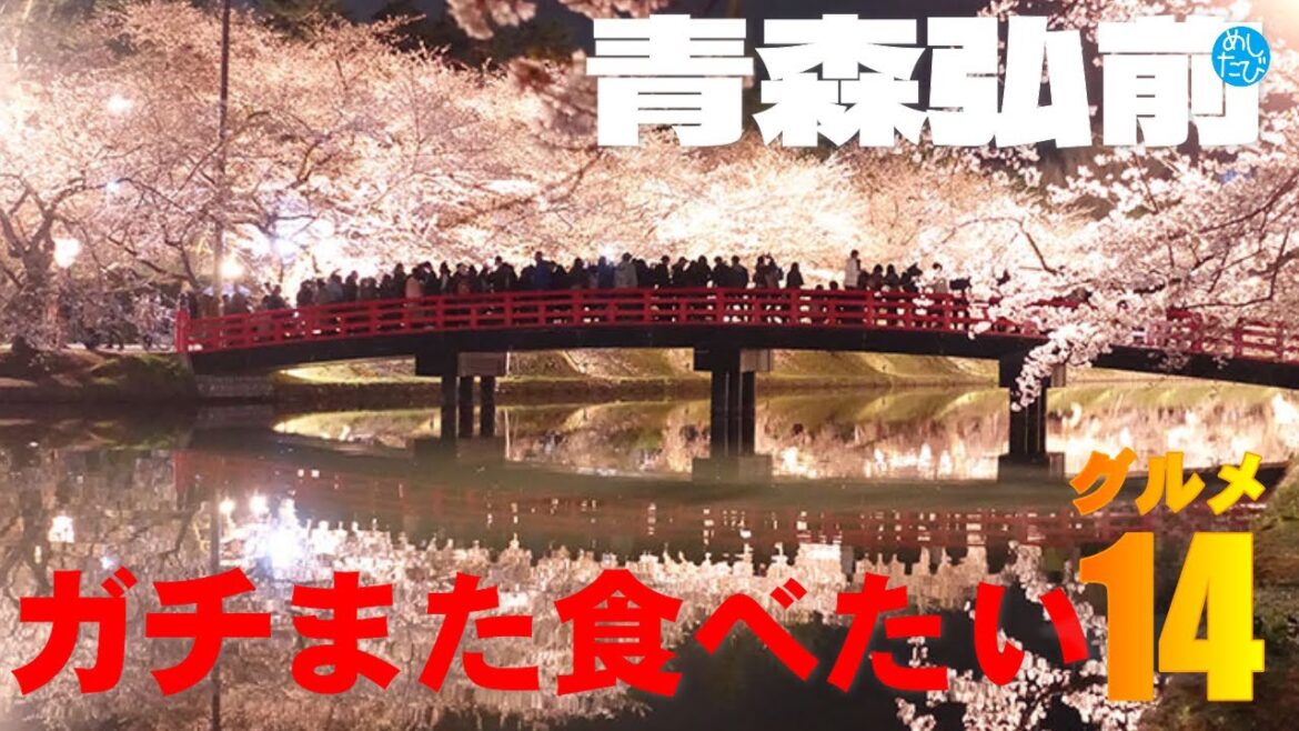 青森弘前ガチまた食べたいグルメ14★ めしたび※022（Subtitles：English,Thai,Korean,Chinese）