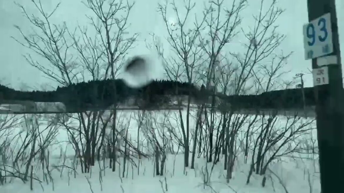 青森 特急つがる2号の車窓から 弘前→秋田③ 2023/02/10 青森 特急つがる2号の車窓から 弘前→秋田③ 2023/02/10
