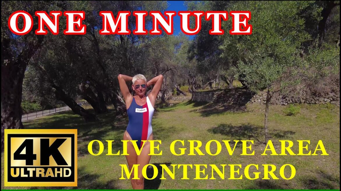 Ulcinj Olive Grove Area Montenegro ( one minute ) 4K Walking Tour Ulcinj Olive Grove Area Montenegro ( one minute ) 4K Walking Tour