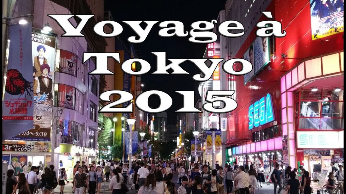 Voyage à Tokyo 2015