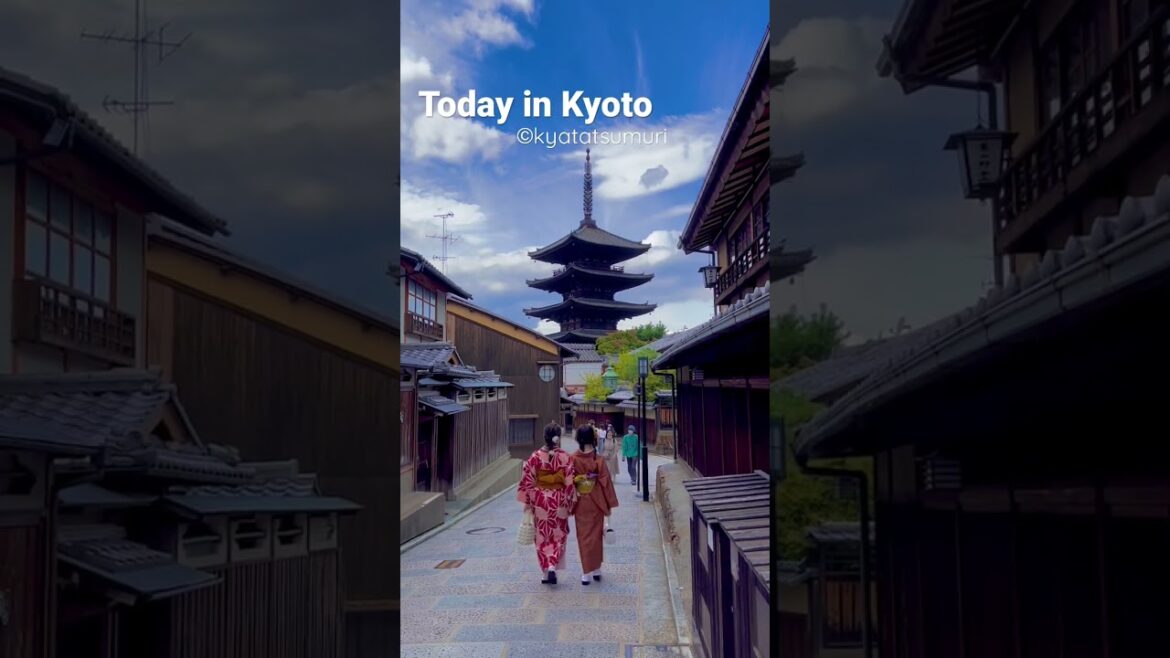 Today in Kyoto #shorts #kyoto #japan Today in Kyoto #shorts #kyoto #japan