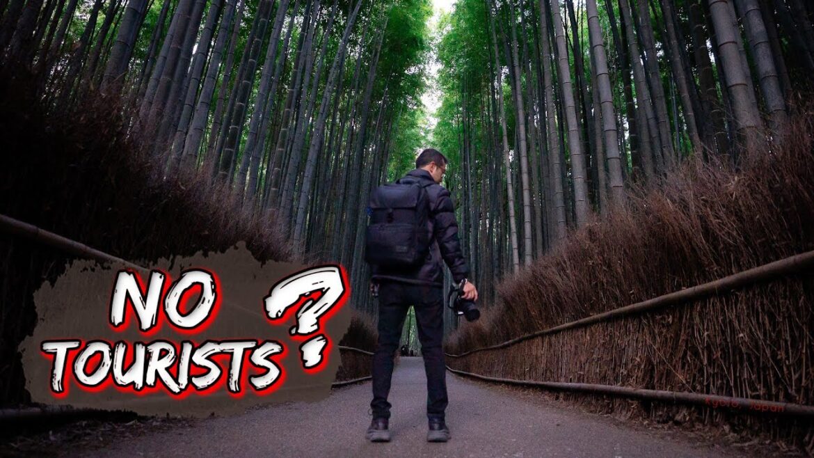 Exploring the Popular Sites of Kyoto After the Tourist Rush