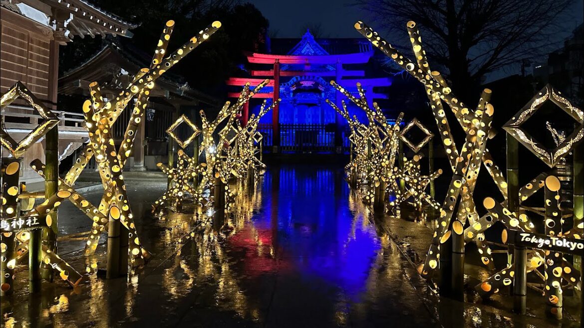 🔴 Rainy Walk in Asakusa - Ushijima Shrine Illumination