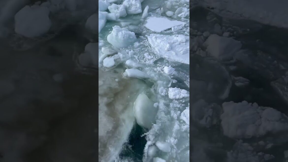 Drifted ice Abashiri - Hokkaido -japan #اليابان #adventure #abashiri #japan #hokkaido #ocean #travel