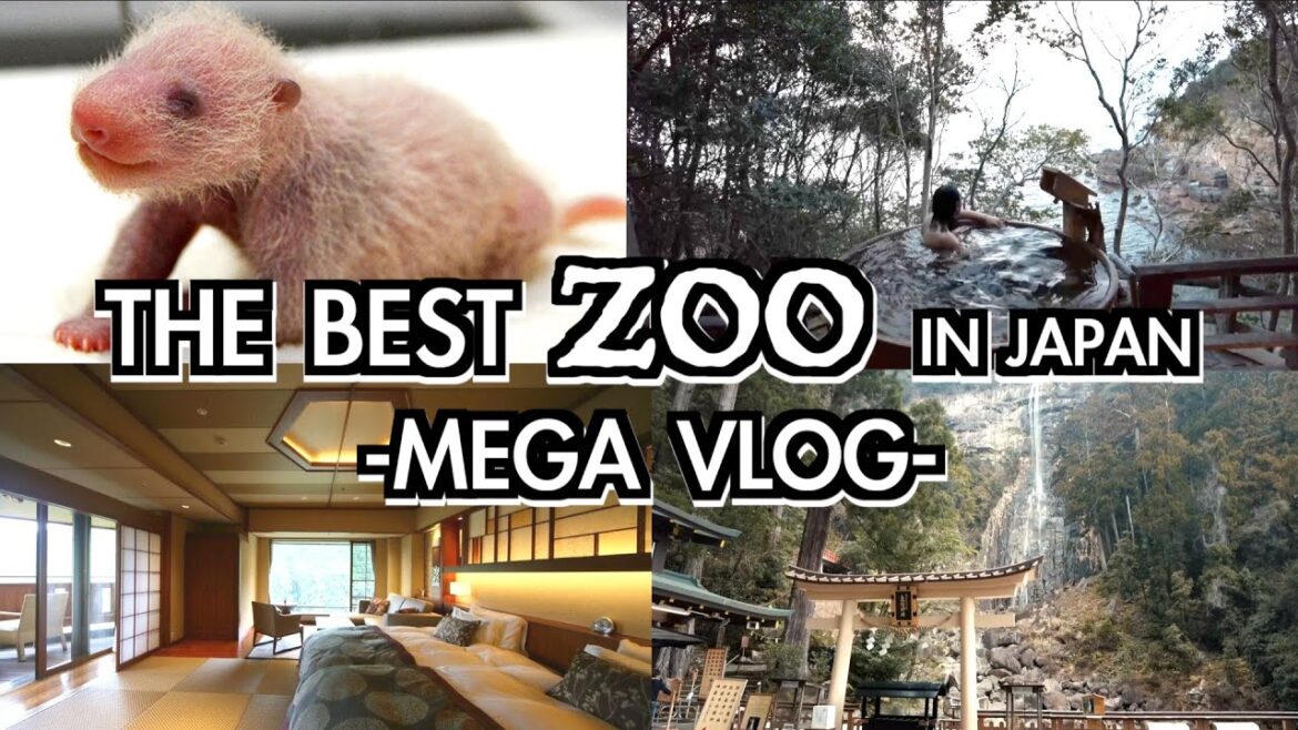 NO.1 RANKING ZOO IN JAPAN + NICE ONSEN RYOKAN + WORLD HERITAGE -TRAVEL MEGA VLOG (ADVENTURE WORLD) NO.1 RANKING ZOO IN JAPAN + NICE ONSEN RYOKAN + WORLD HERITAGE -TRAVEL MEGA VLOG (ADVENTURE WORLD)