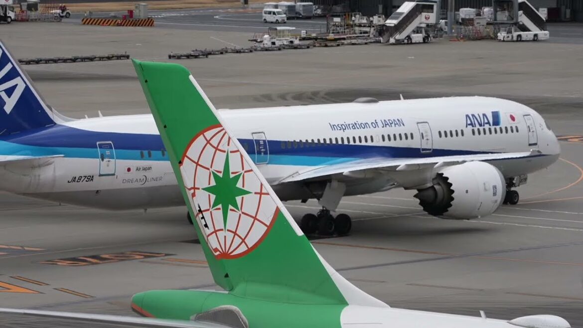 Tokyo Haneda International Airport 羽田空港