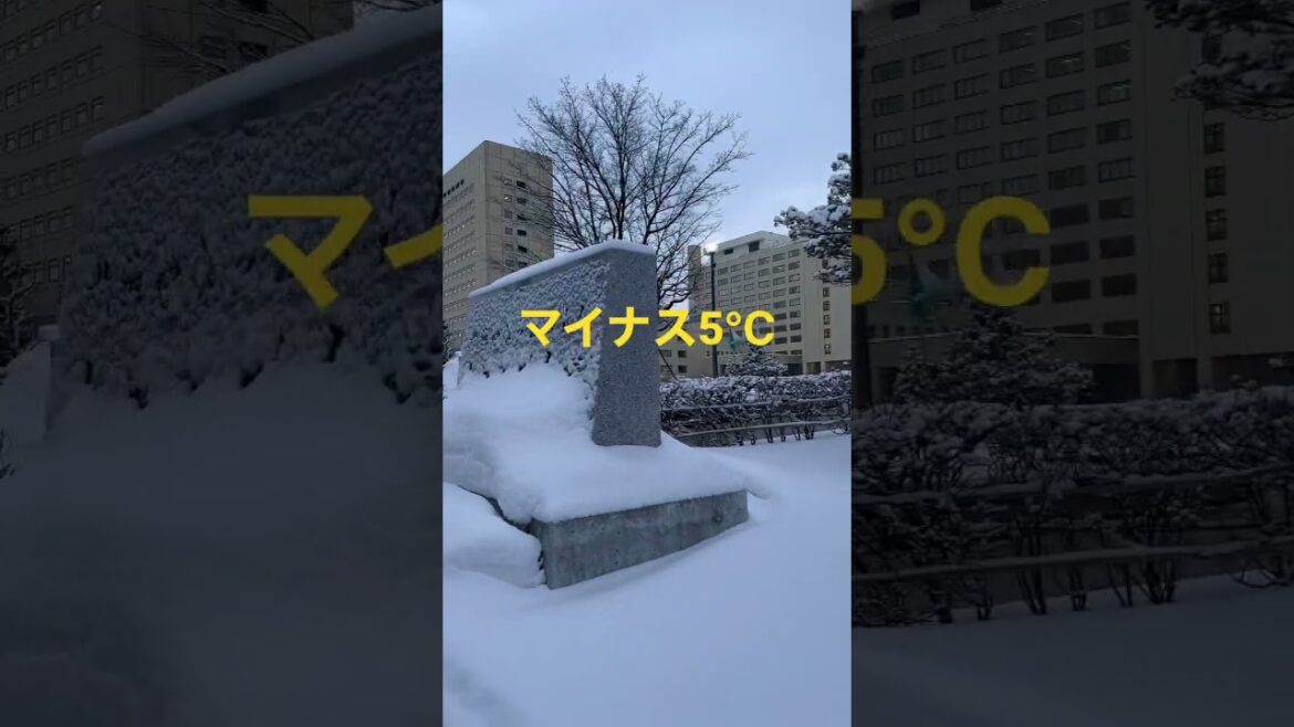 令和5年2月13日AM0645、札幌医科大学 #shorts #札幌医科大学 #雪