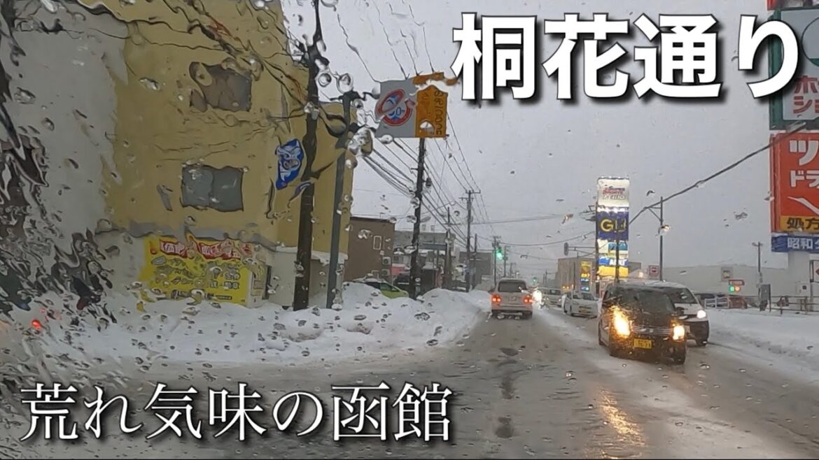 冬の北海道 函館 五稜郭駅前のコジマから桐花通りを通って昭和タウンプラザまで【雪道のドライブ】