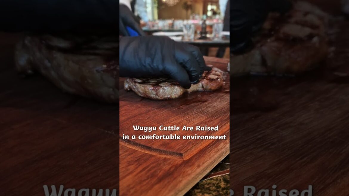 Wagyu Steak Facts
