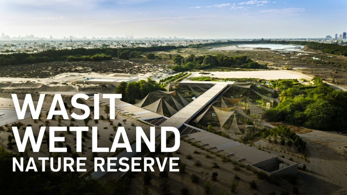 Wasit Wetland Centre - Sharjah, UAE