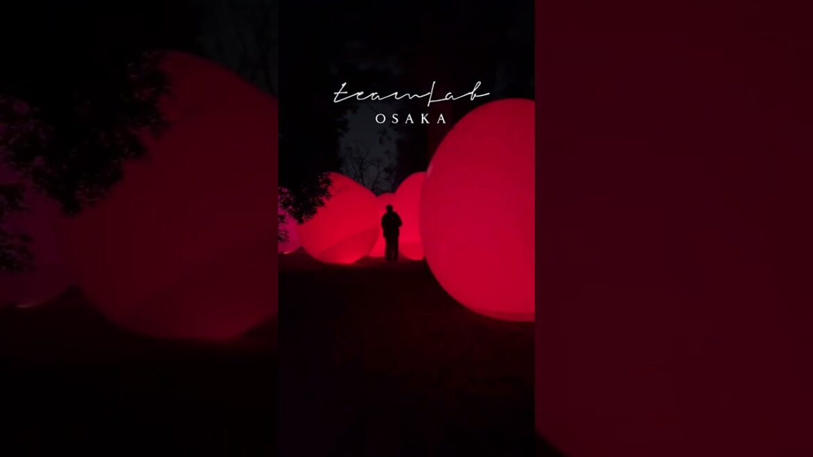 A colorful winter evening at #teamlab botanical garden, Osaka, Japan