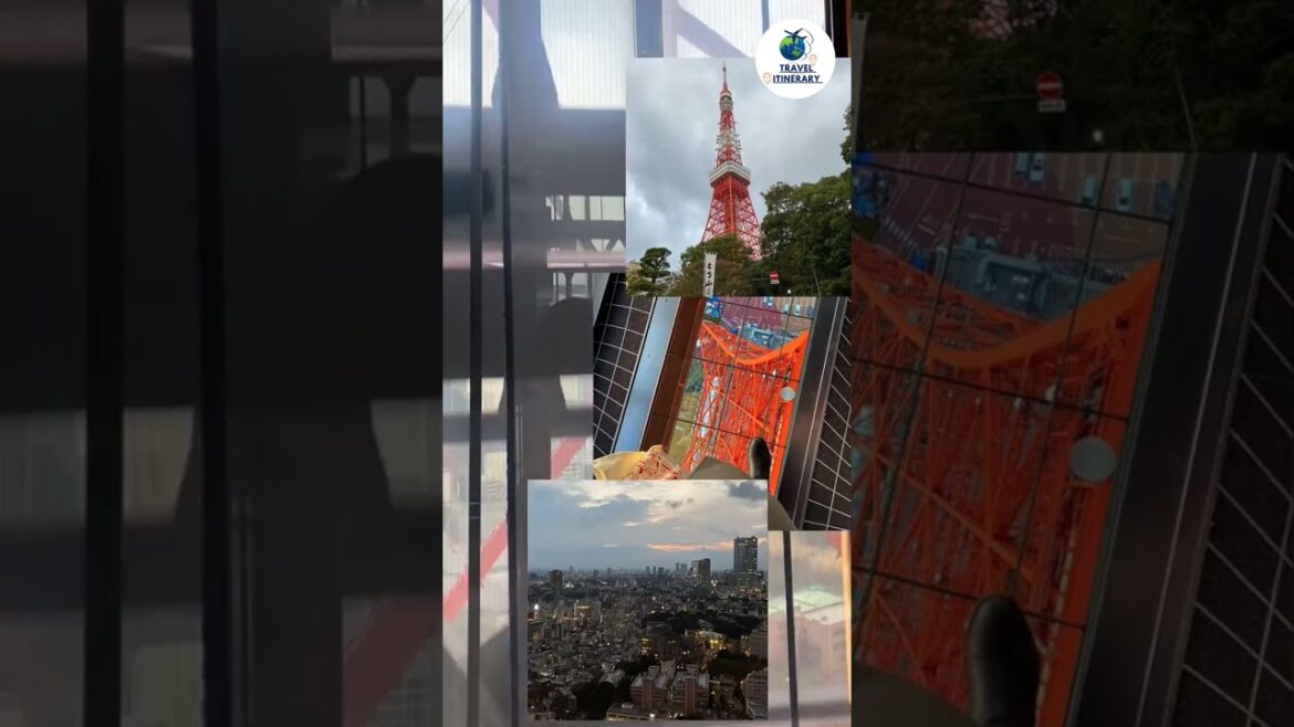 5 Things To Do In Tokyo #shorts #travelguide