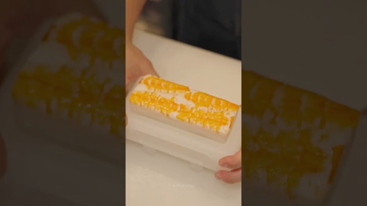 후쿠오카 틀초밥 오시즈시 - 일본 [6]