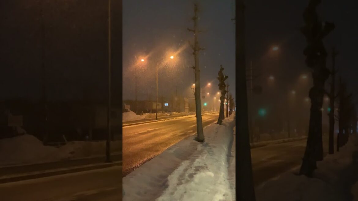 【北海道】2月でも燦々と降る雪　#Shorts