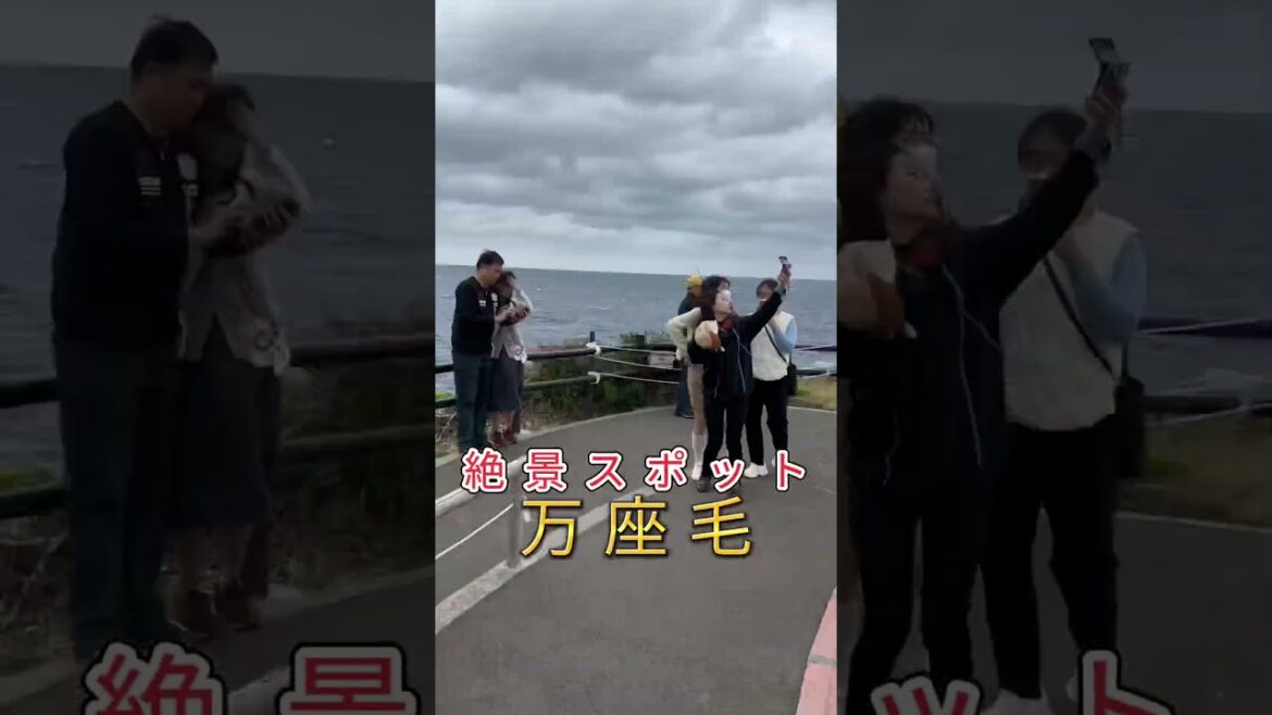 万座毛で1000円ガチャを回したら… おすすめの観光地教えてください🥺 #キャンピングカー #沖縄 #観光 #京大生 #旅行 #旅人 #shorts