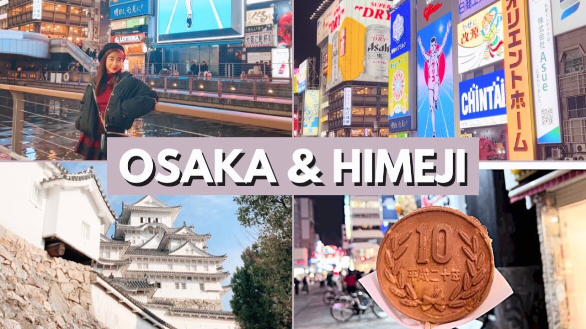 Osaka and Himeji Travel Vlog | Dotonbori | Himeji Castle | Kansai Thru Pass