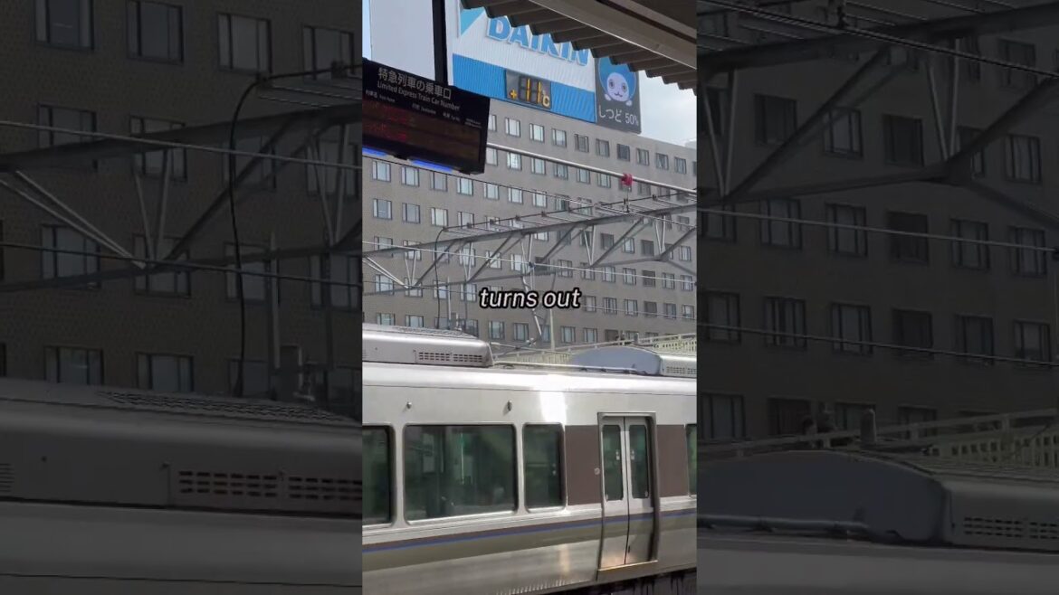 Uncle sam be too much sumtimes😫 #solotraveler #solotravel #solofemaletravel #japantrip #japantravel