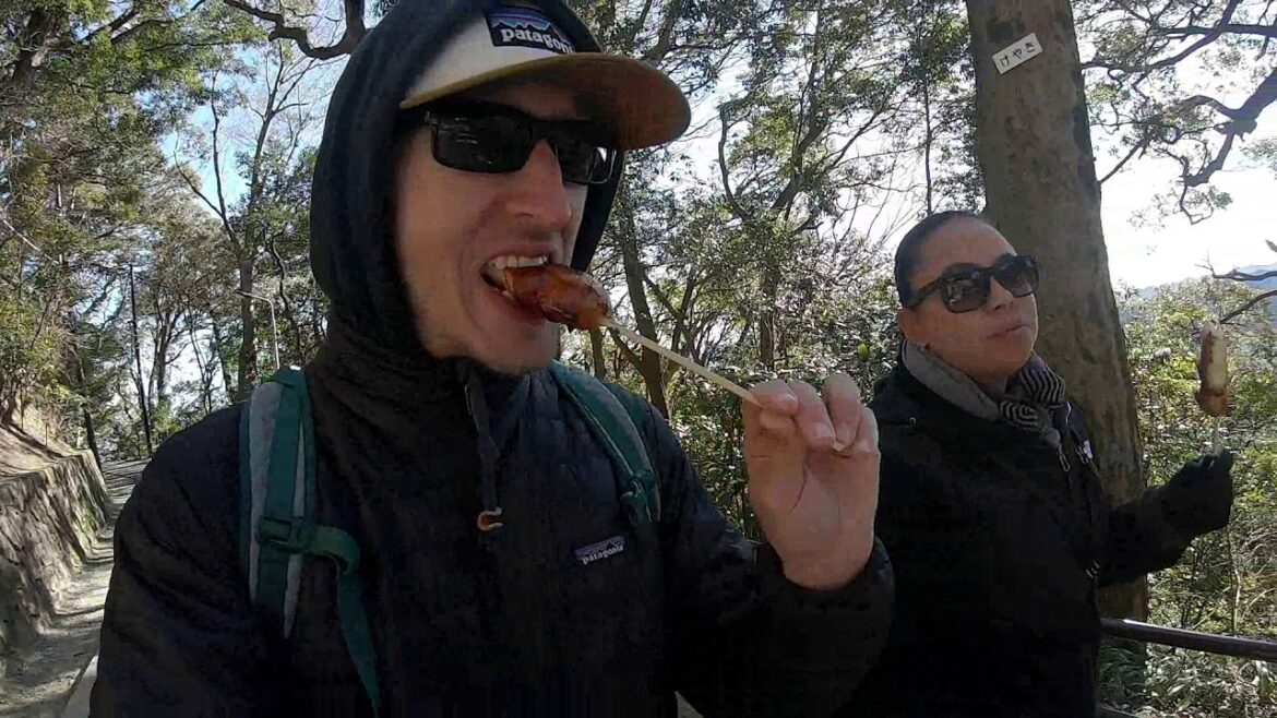 Japan Trip 2018/2019