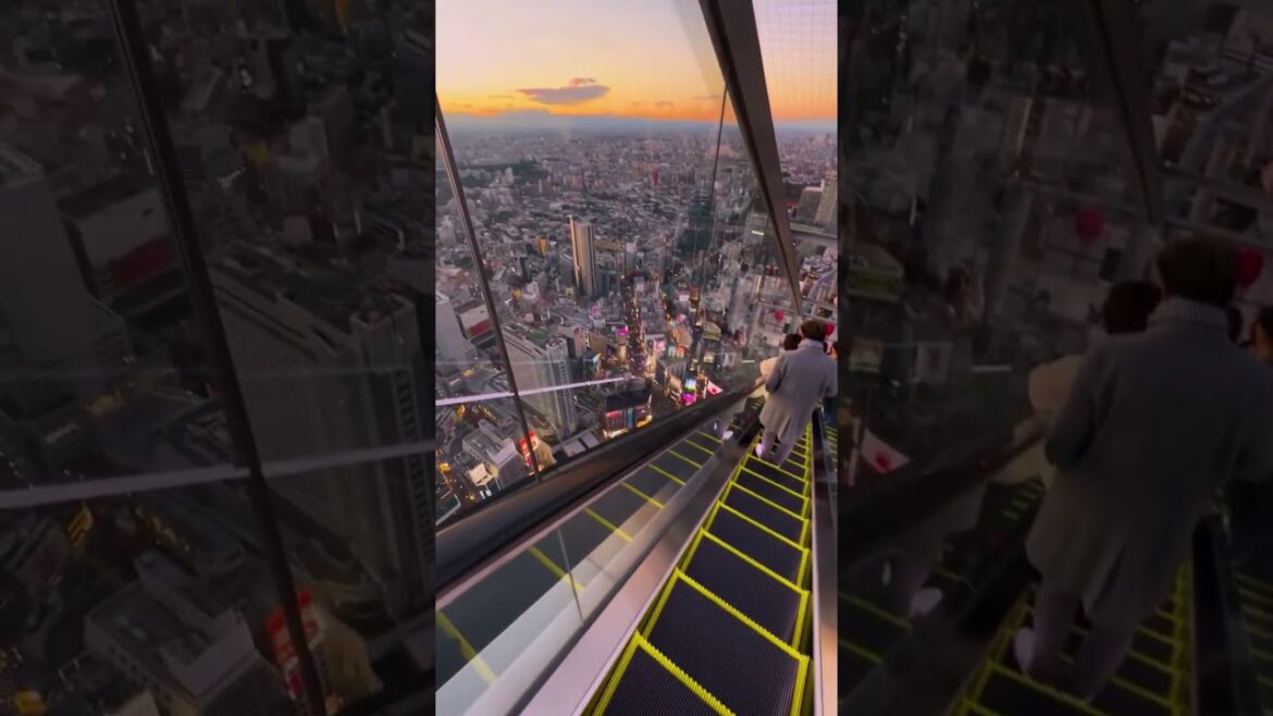vantage point above Tokyo is where our minds are currently at.❤️ #shorts