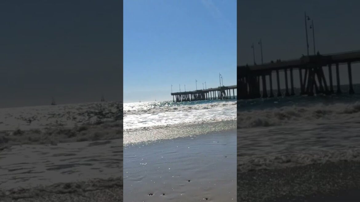 🏖VENICE BEACH CALIFORNIA🇺🇸 #shorts