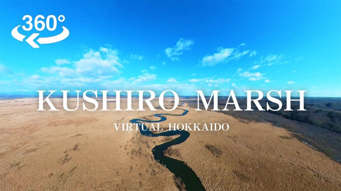 【VR】Kushiro Marsh