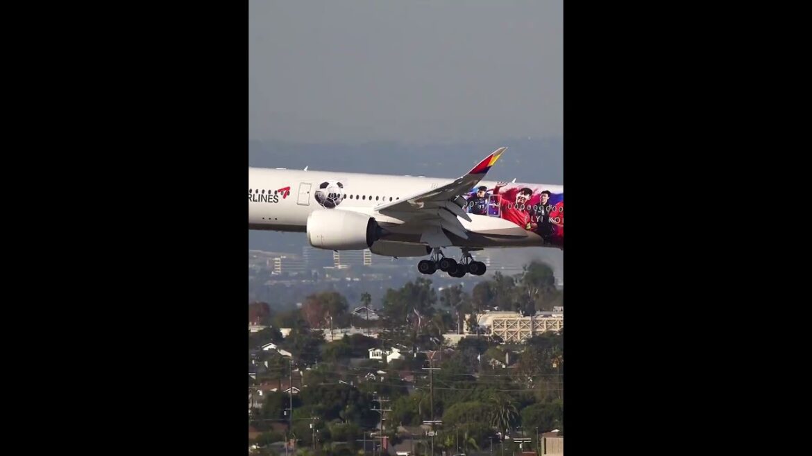 #shorts Asiana A350 "World Cup" landing at LAX #planespotting #travel #aviation #plane