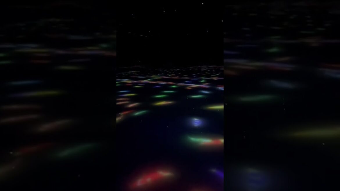 The first digital art museum in the world: TeamLab Planets in #tokyo #japan #teamlab #travel