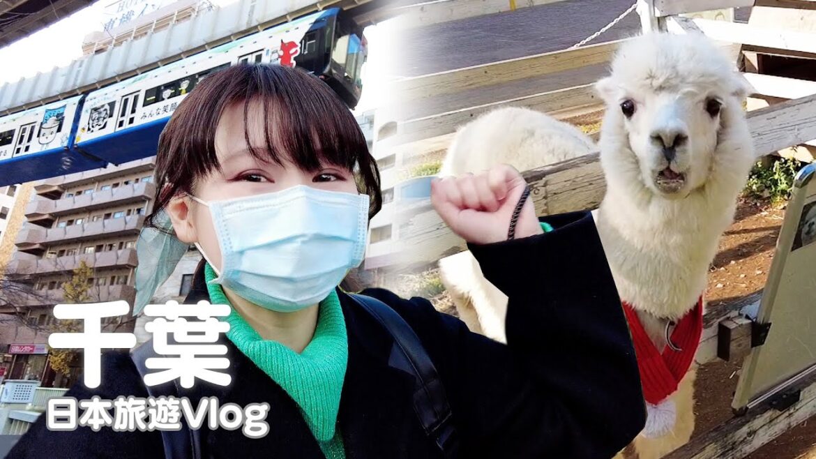千葉|世界最長空中懸掛單軌電車、草泥馬嚇死人、供奉星星的神社、明星小熊貓風太|日本旅遊vlog/Japan travel 2021 Chiba vlog 千葉|世界最長空中懸掛單軌電車、草泥馬嚇死人、供奉星星的神社、明星小熊貓風太|日本旅遊vlog/Japan travel 2021 Chiba vlog